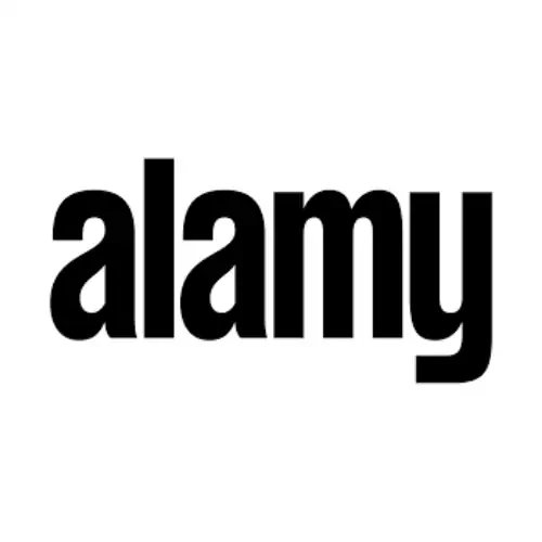 Store Banner