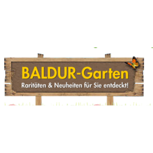 Store Banner