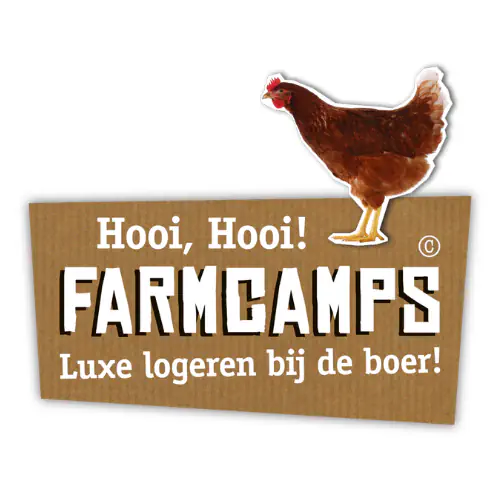 Store Banner