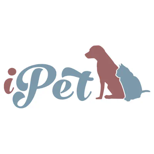 Store Banner