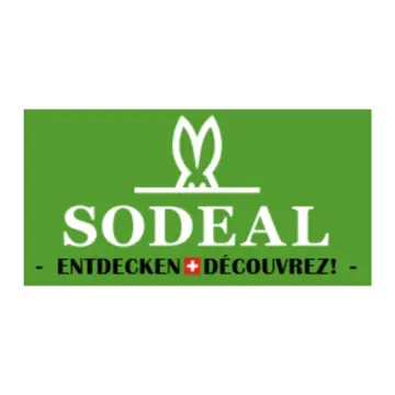 Store Banner