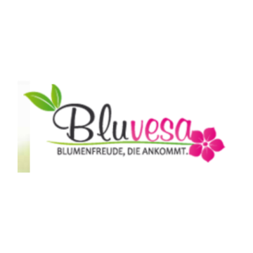 Store Banner