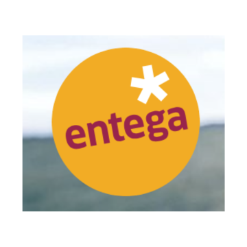 Store Banner